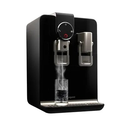 Eureka Forbes Water Purifier RO 5.6 Litre Aquaguard Blaze Insta / Aspire Blaze WS RO+UV Duel SS Tank (ZPP) Black and Silver
