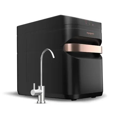 Eureka Forbes Water Purifier RO 6.6 Litre Stg Tank Aquaguard Designo Nxt /Aspire WS UTC RO+UV 1X Black and Copper