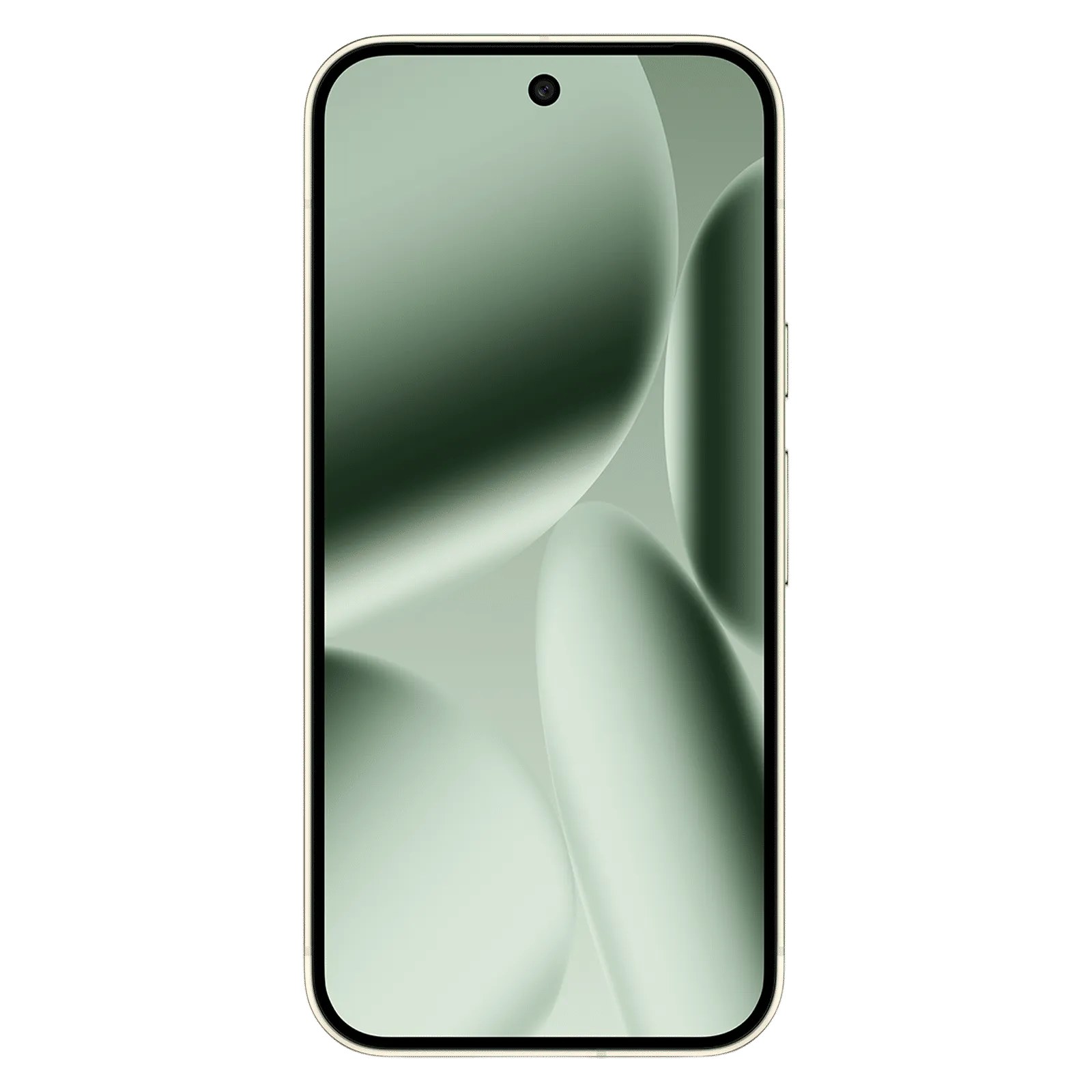 Google Android Smartphone Pixel 10 Pro (12GB RAM, 256GB Storage/ROM) GA10316-IN Jade