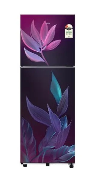 Samsung Double Door Refrigerator 236 Litres Convertible 2 Star Inverter RT40H28U2PRHL Paradise Bloom Purple