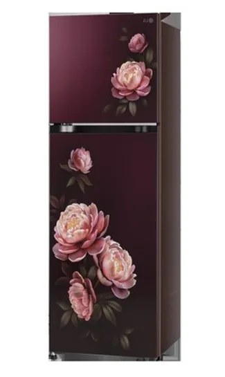 LG Double Door Refrigerator 251 Litres 1 Star Inverter GLT2516WWWG Wine Glory