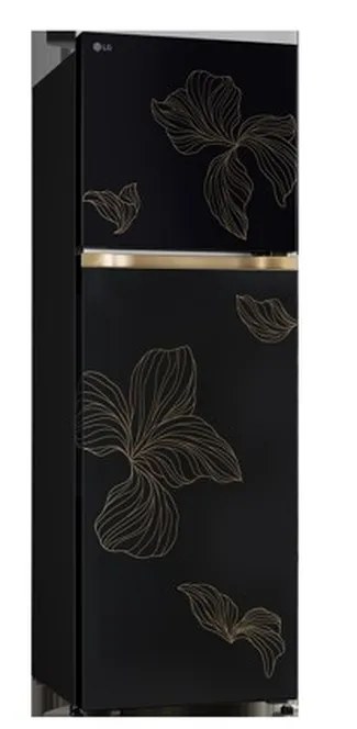LG Double Door Refrigerator 251 Litres 1 Star Inverter GLT2516WXRO Radiant Inox